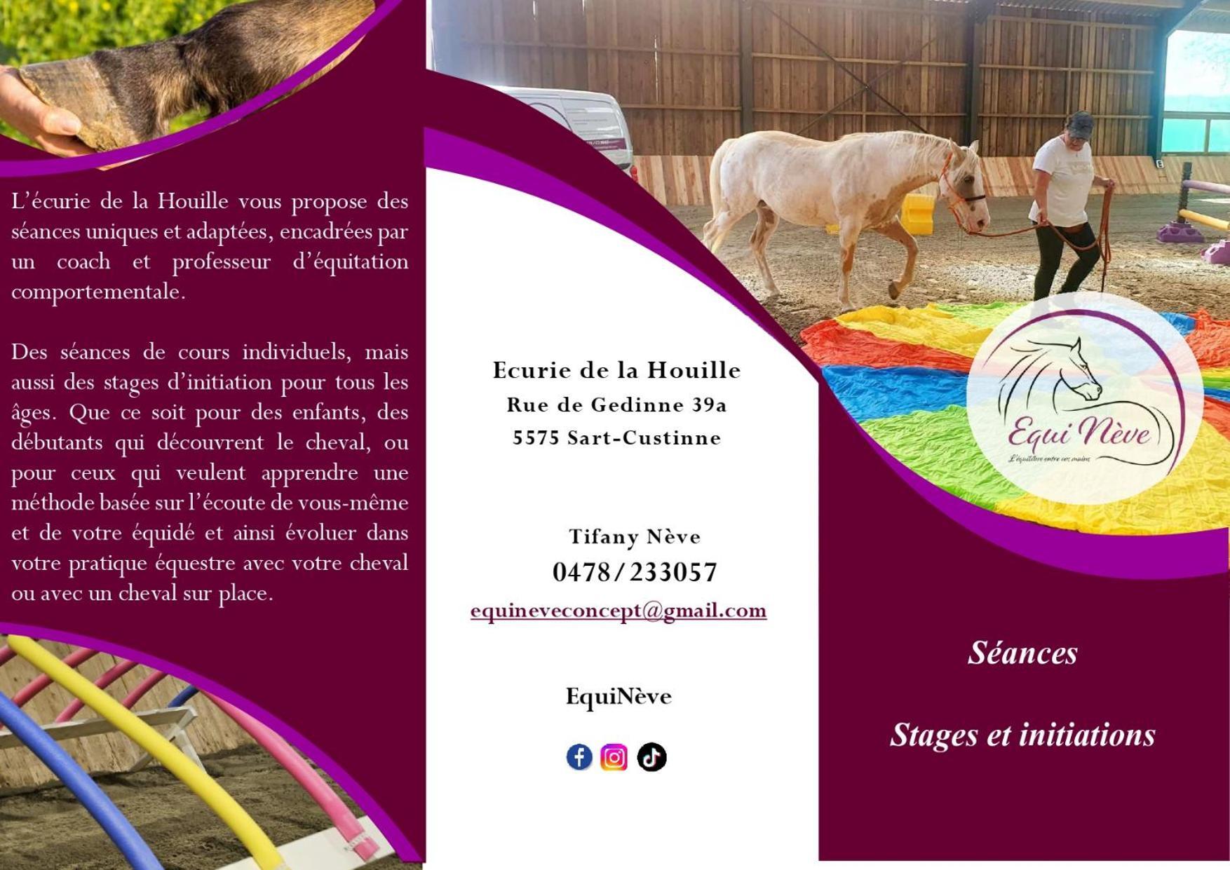 Le Relais De La Houille Villa Sart-Custinne Exteriör bild